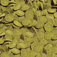 Sera Wels-Chips Nature
