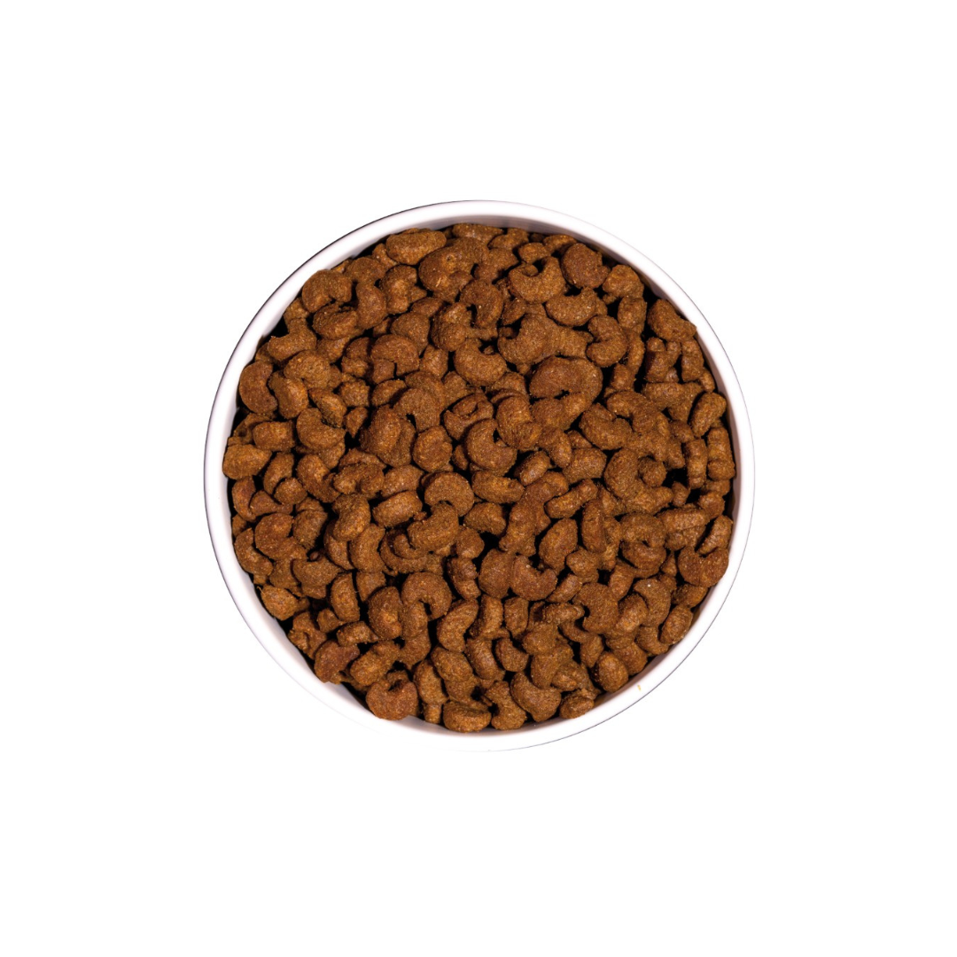 Ownat Classic Sterilized