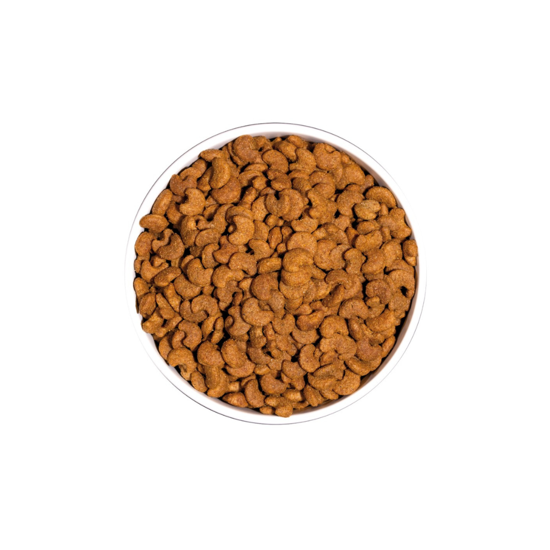 Ownat Classic Hairball