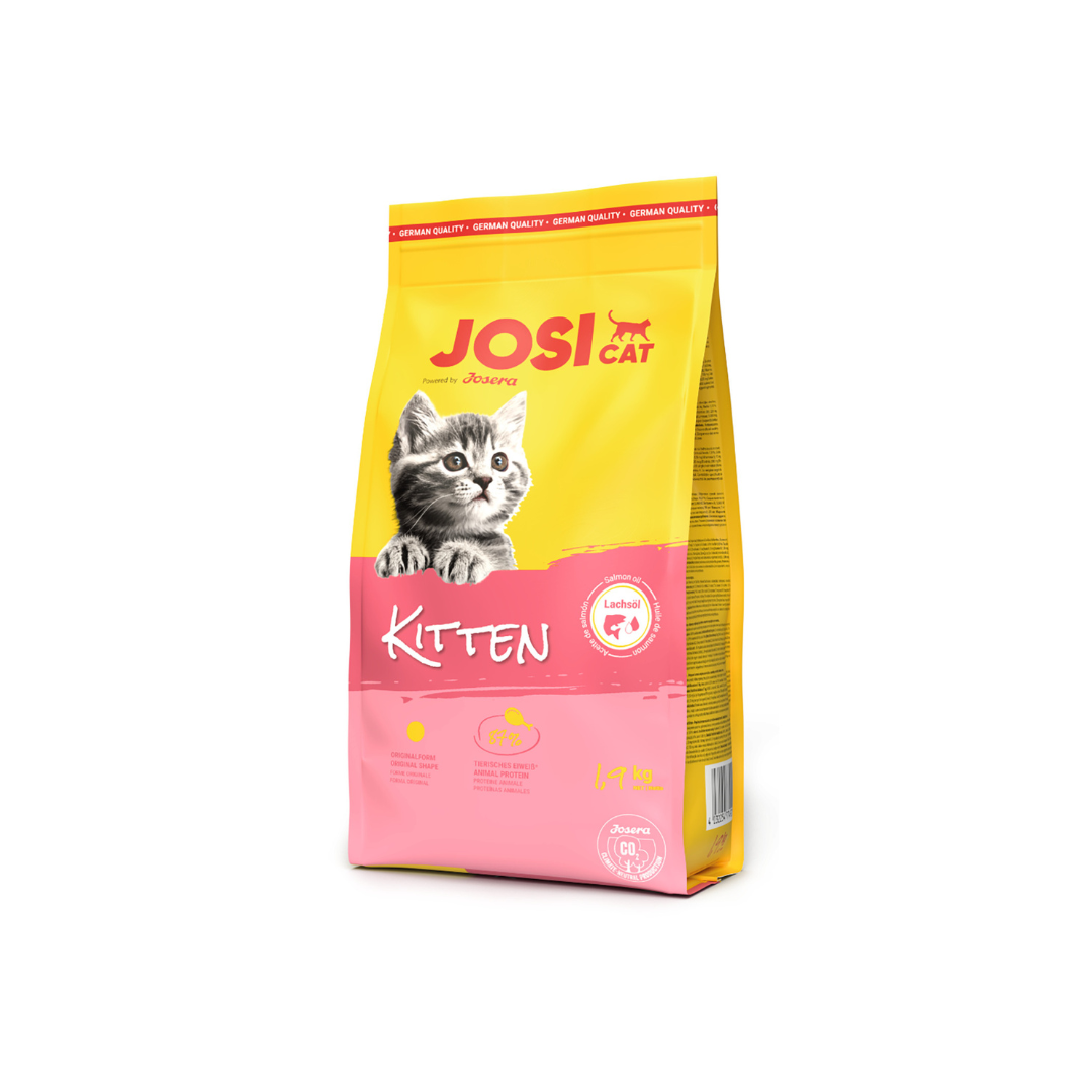 JosiCat Kitten
