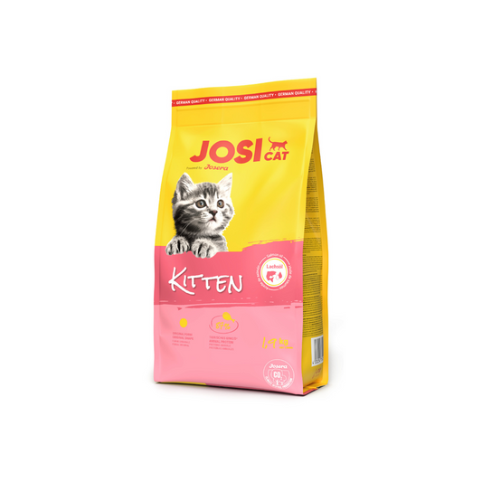 JosiCat Kitten