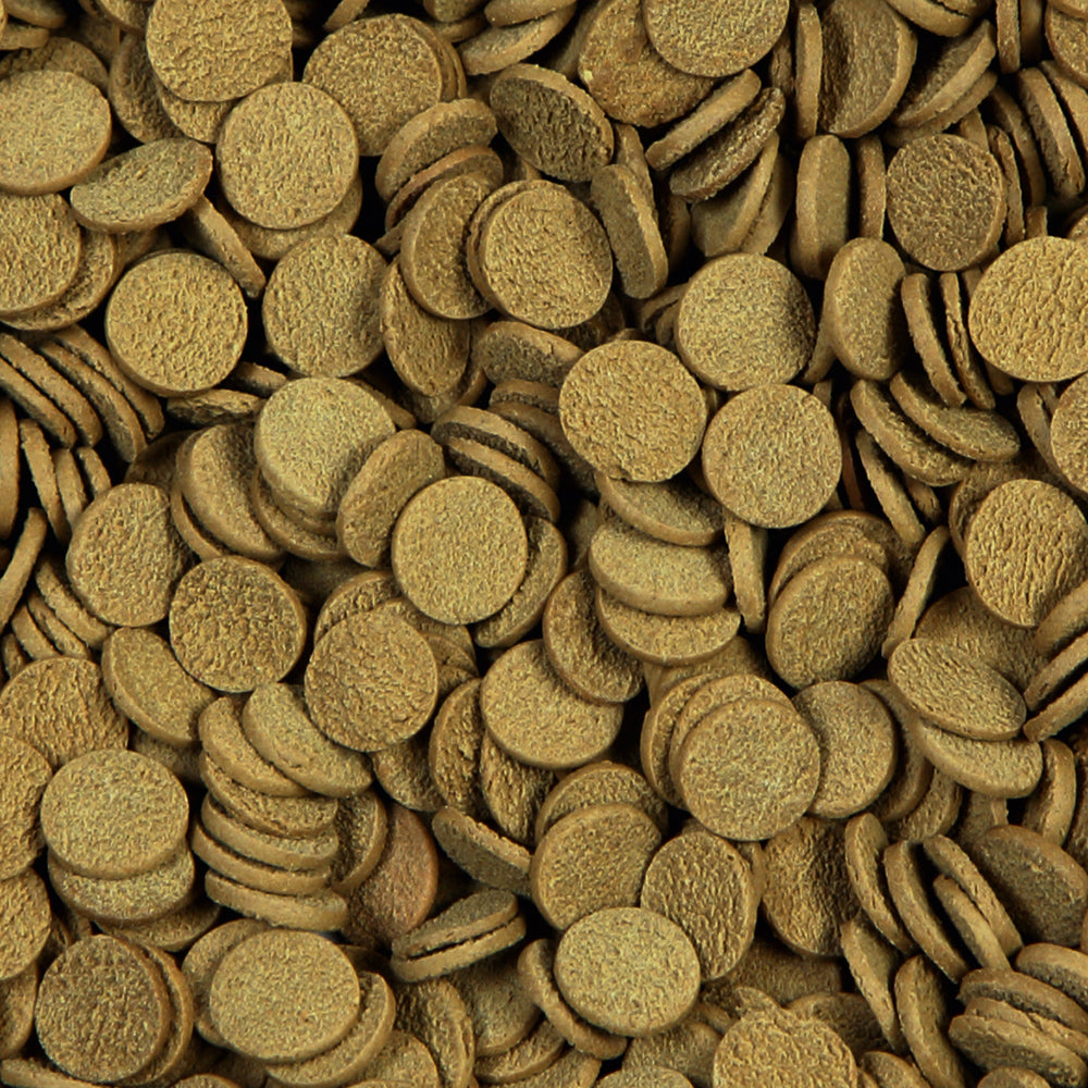 Sera Sterlet Chips 3,8L