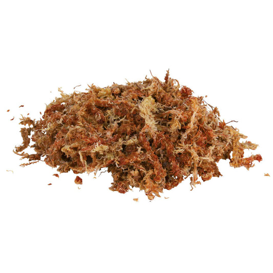 Trixie Musgo para Terrarios 100g