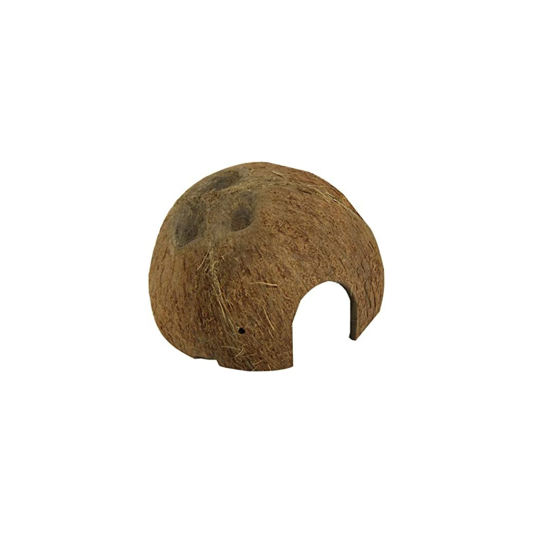 Cueva Coco