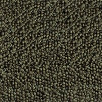 Sera Goldy Color Spirulina Nature