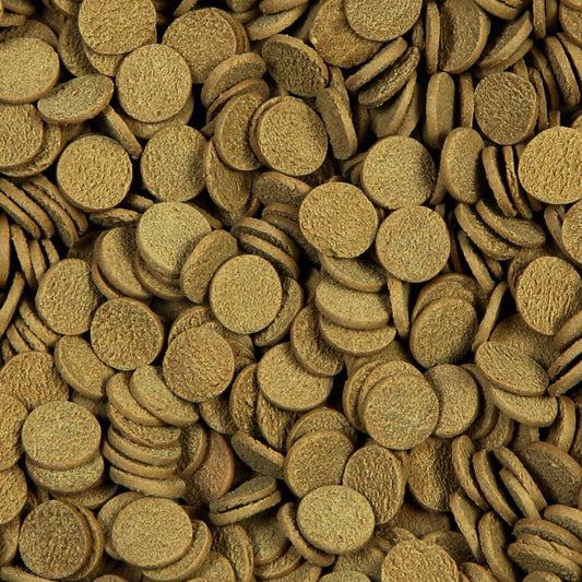 Sera Sterlet Chips 3,8L