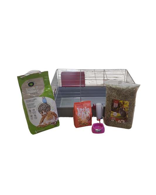 Kit Conejo